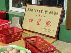 -大自然农场蔬菜草莓采摘园
