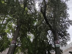 -万寿八仙宫