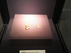 -北京周口店北京人遗址博物馆