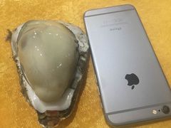 桑拿蚝-蚝专家(北滘店)