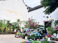 -嘉兴月河历史街区