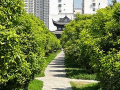 -花洲书院