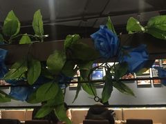 大堂-TUK土耳其餐厅·下午茶(卢湾店)