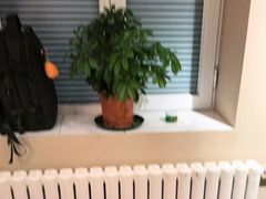 -羊门客在·烤盐池滩羊·川菜