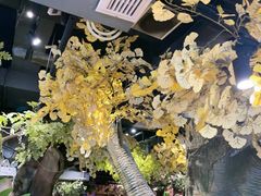 -城墙拐拐火锅(三峡广场黑金冠店)