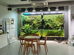 -ADA自然水景世界