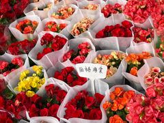 -龙大花卉苗木市场