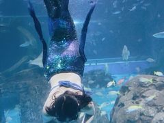 -锦艺城海洋馆