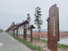 -漩门湾国家湿地公园