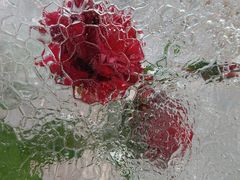 -万达广场(太原街店)