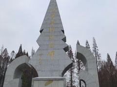 -水杉园