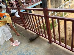 -西霞口神雕山野生动物世界