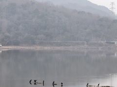 -宁波九龙湖开元度假村