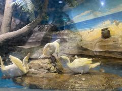 -梦幻海洋王国(吾悦广场张家港店)