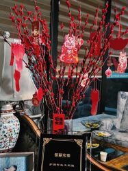 -保丽宝泰母婴护理院·月子中心·产康·中医(常州店)