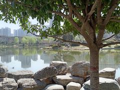 -木塔寺遗址生态公园