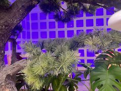 -南拳十三姨·潮汕砂锅粥·粤菜(西单大悦城店)