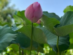 -莲池书院博物馆