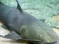 -乐享养生(东湖店)