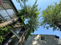 -VOYAGE COFFEE 咖啡烘焙工坊店(798艺术区店)
