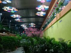 -君临七星生态酒店