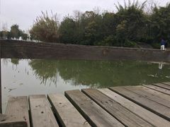 -艾溪湖湿地公园