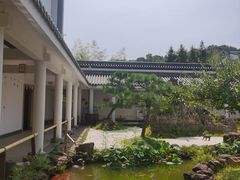 -东方艺术博物馆