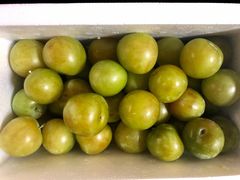 -呼吸森林·生态农庄农家乐私房菜