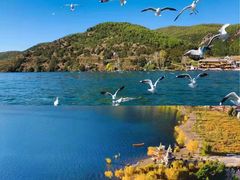 -丽江泸沽湖景区