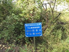 -阳台山自然风景区