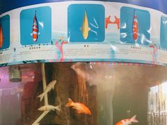 -泉州海丝野生动物世界