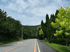 -棒棰岛宾馆景区