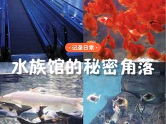 -常州海昌海洋探索馆