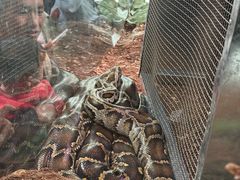 -昆明动物园