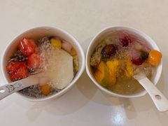 -凉凉海石花