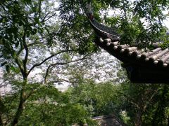 DSCN6126-丰都鬼城名山景区