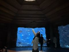 -郑州银基国际旅游度假区