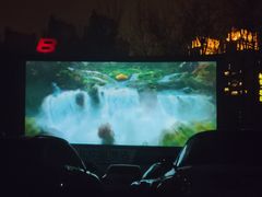 -枫花园汽车电影院(朝阳公园店)