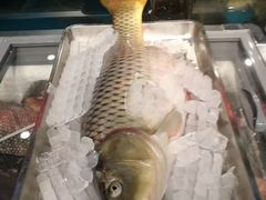 -白洋淀灶台鱼(名佳花园店)