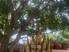 -西双版纳勐泐文化旅游区