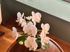 -南堂馆·新川菜(春熙路店)