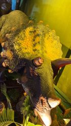 -恐龙探索乐园(磁器口店)