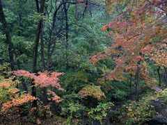 -玉渡山自然风景区