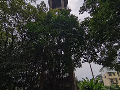 -杭州半山国家森林公园