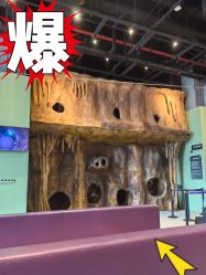 -反弹蹦床公园·亲子乐园·团建·派对(中庚漫游城店)