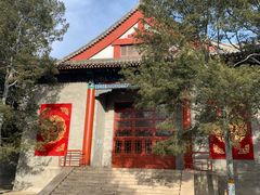 -中央民族大学