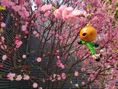 -丹东路渡口(轮渡站)