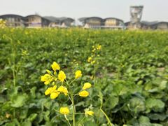 -中国天府农业博览园