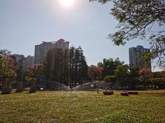 -四海公园(南山区)
