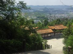 -铁山坪森林公园